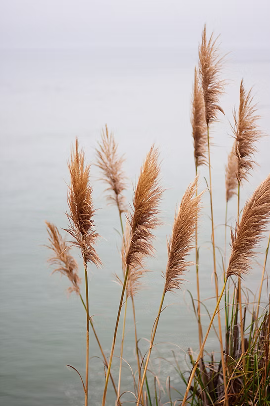 Calm natural landscape